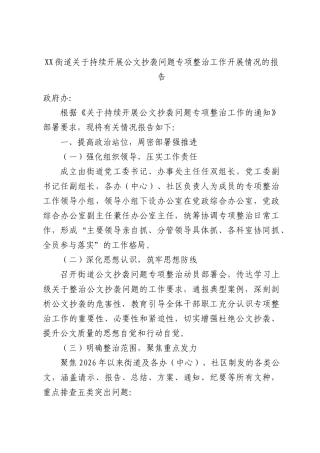 XX街道关于持续开展公文抄袭问题专项整治工作开展情况的报告.docx