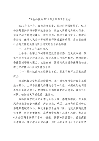 XX县公安局2026年上半年工作总结.docx