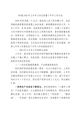XX镇2026年上半年工作总结暨下半年工作计划.docx