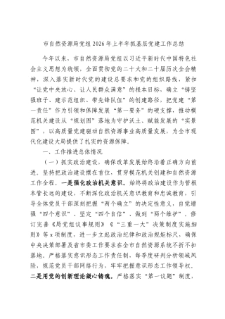 市自然资源局党组2026年上半年抓基层党建工作总结.docx