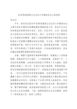 在XX街道爱国卫生运动工作推进会议上的讲话.docx