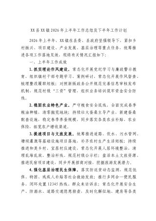 XX县XX镇2026年上半年工作总结及下半年工作计划.docx
