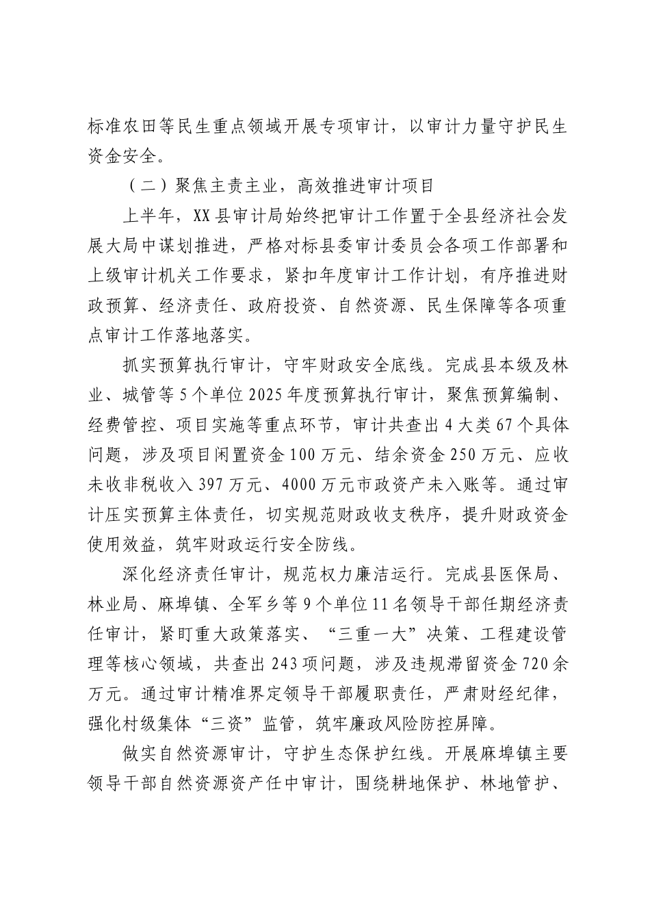 县审计局2026年上半年工作总结和下半年工作安排.docx_第3页
