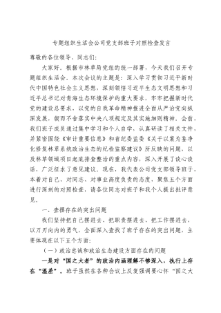 专题组织生活会公司党支部班子对照检查发言.docx