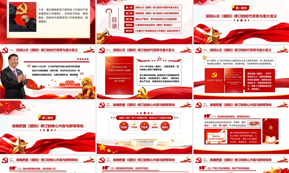 PPT：深入学习贯彻新修订《发展党员工作细则》 提升发展党员工作质效.pptx