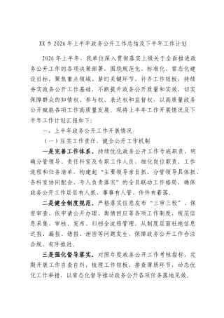 XX乡2026年上半年政务公开工作总结及下半年工作计划.docx