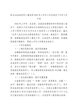XX自治县退役军人事务局2026年上半年工作总结及下半年工作计划.docx