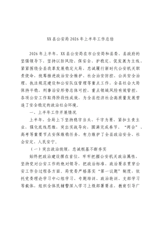 公安系统2026年上半年工作总结.docx