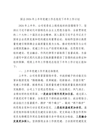 国企2026年上半年党建工作总结及下半年工作计划.docx