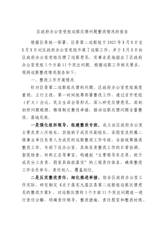 区政府办公室党组巡察反馈问题整改情况的报告.docx