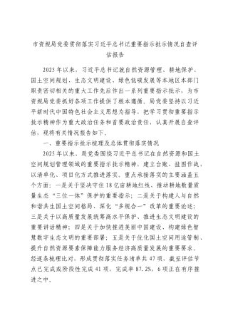 市资规局党委贯彻落实习近平总书记重要指示批示情况自查评估报告.docx
