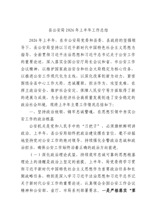 县公安局2026年上半年工作总结.docx
