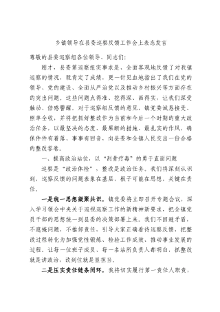 乡镇领导在县委巡察反馈工作会上表态发言.docx