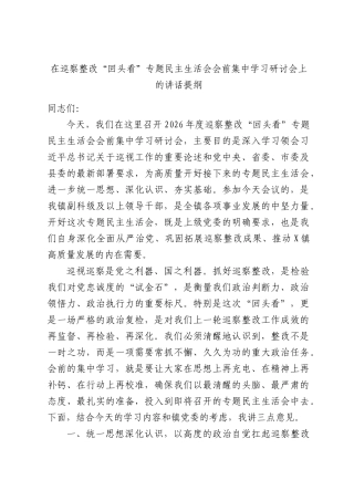 在巡察整改“回头看”专题民主生活会会前集中学习研讨会上的讲话提纲.docx