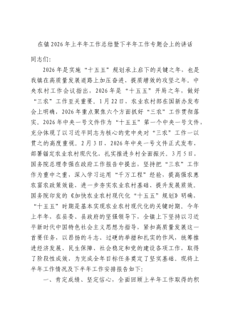 在镇2026年上半年工作总结暨下半年工作专题会上的讲话.docx