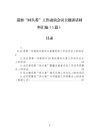 巡察“回头看”工作动员会议主题讲话材料汇编（5篇）.docx