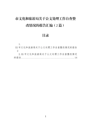 市文化和旅游局关于公文处理工作自查整改情况的报告汇编（2篇）.docx