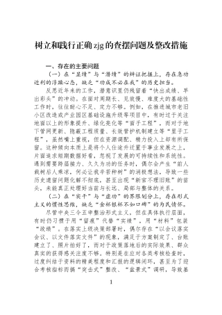 树立和践行正确zjg的查摆问题及整改措施.docx