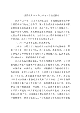 XX县民政局2026年上半年工作情况报告.docx