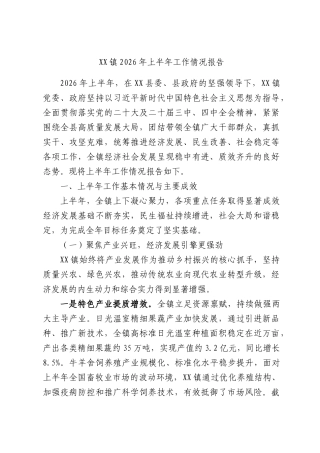 XX镇2026年上半年工作情况报告.docx