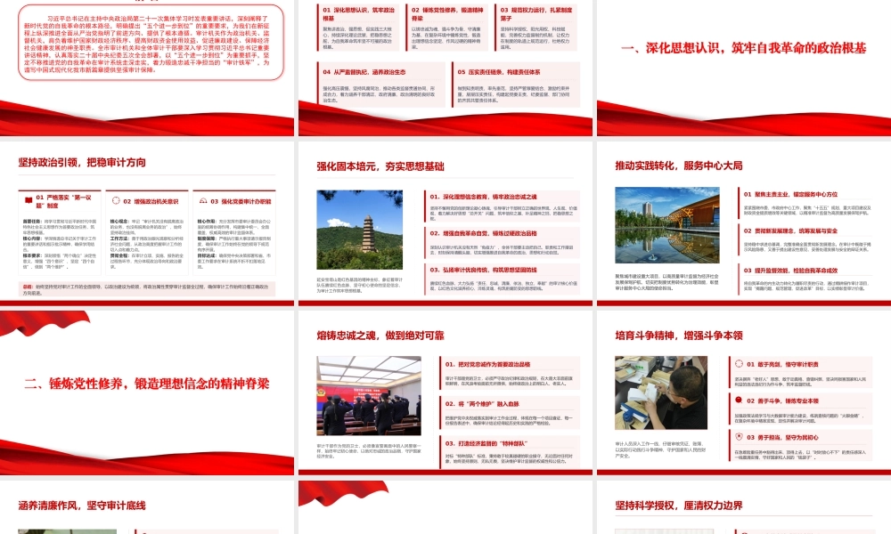 PPT：以自我革命精神锻造新时代过硬审计干部队伍.pptx