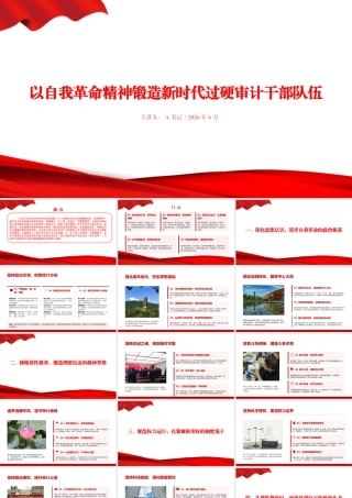 PPT：以自我革命精神锻造新时代过硬审计干部队伍.pptx