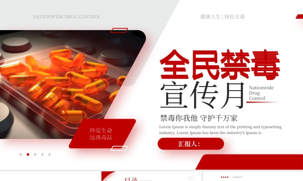 红色全民禁毒宣传月 .pptx