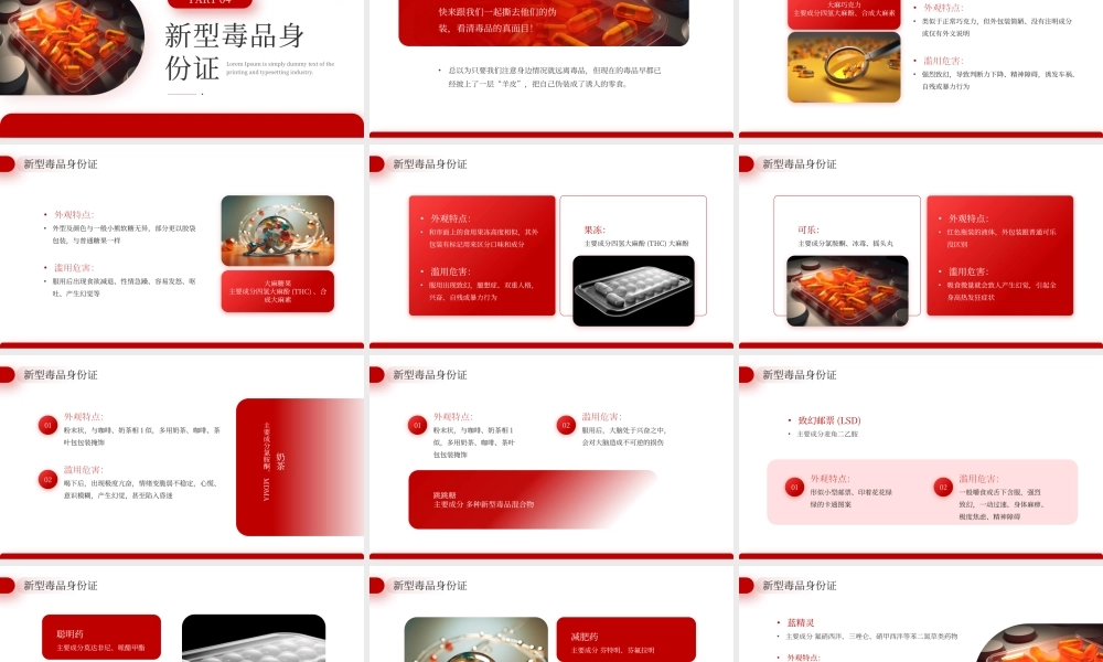 红色全民禁毒宣传月 .pptx