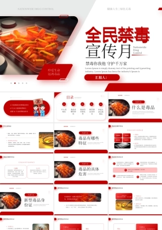 红色全民禁毒宣传月 .pptx