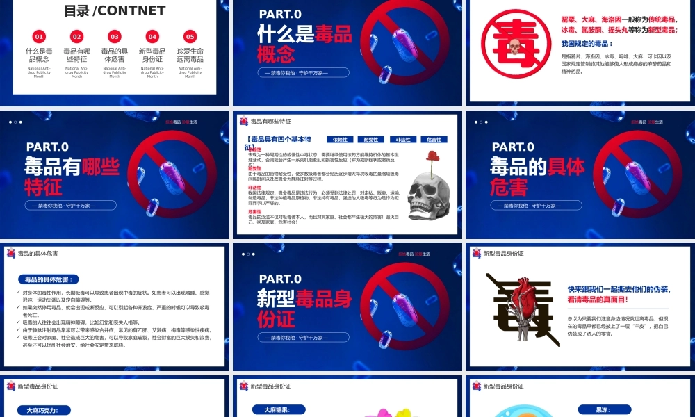 蓝色简约风禁毒宣传月主题.pptx