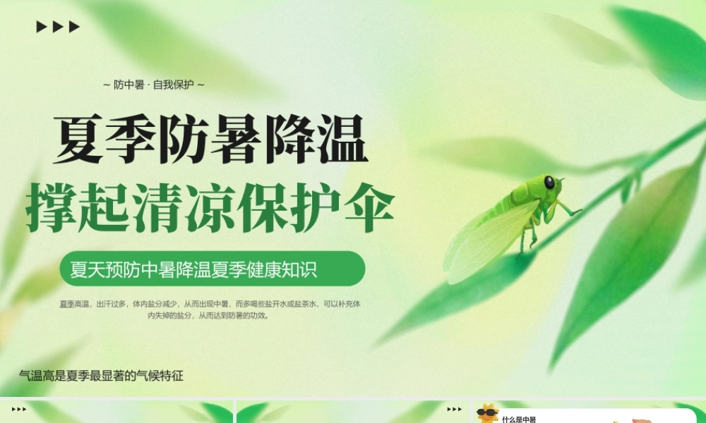 绿色小清新夏季防暑降温 .pptx