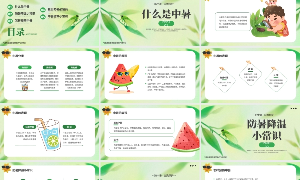 绿色小清新夏季防暑降温 .pptx
