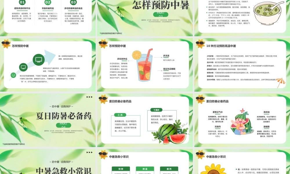 绿色小清新夏季防暑降温 .pptx