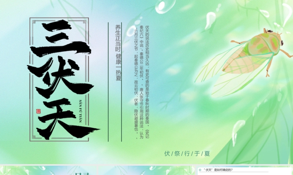 绿色简约三伏天养生科普讲座 .pptx