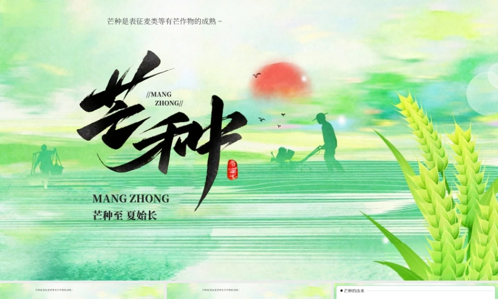绿色插画风芒种至盛夏始主题.pptx