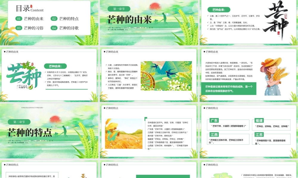 绿色插画风芒种至盛夏始主题.pptx