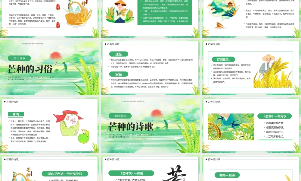 绿色插画风芒种至盛夏始主题.pptx