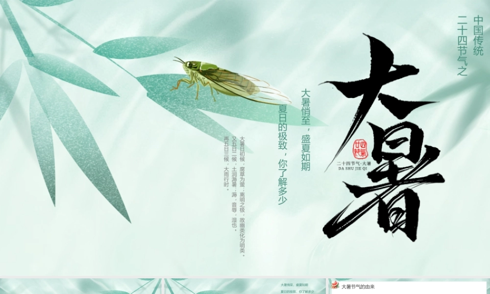 .绿色小清新大暑节气介绍 .pptx