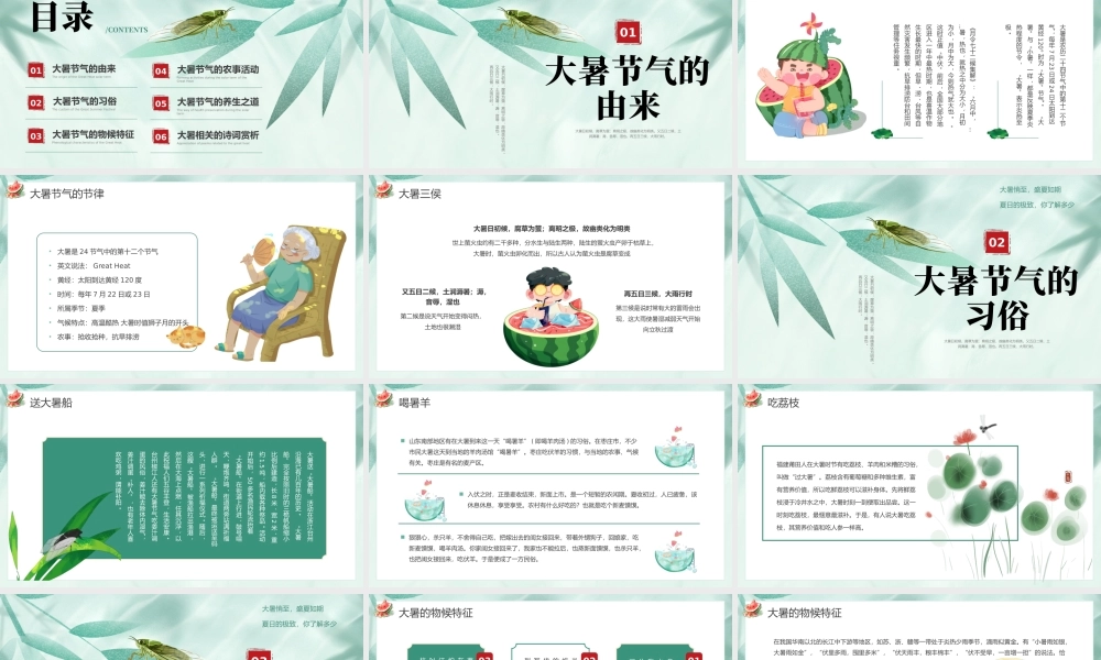 .绿色小清新大暑节气介绍 .pptx