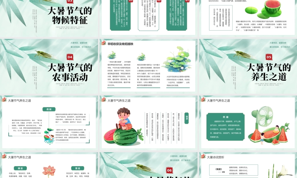 .绿色小清新大暑节气介绍 .pptx