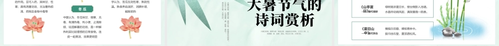 .绿色小清新大暑节气介绍 .pptx