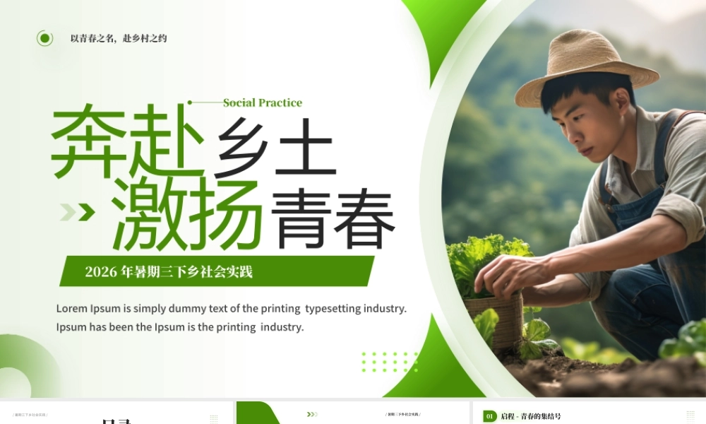 2026年暑期三下乡社会实践.pptx
