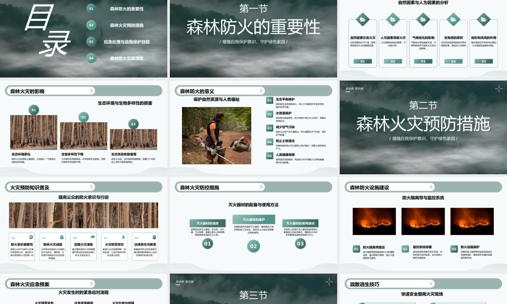 绿色简约森林防火教育 .pptx