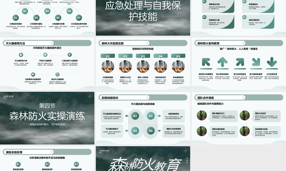 绿色简约森林防火教育 .pptx