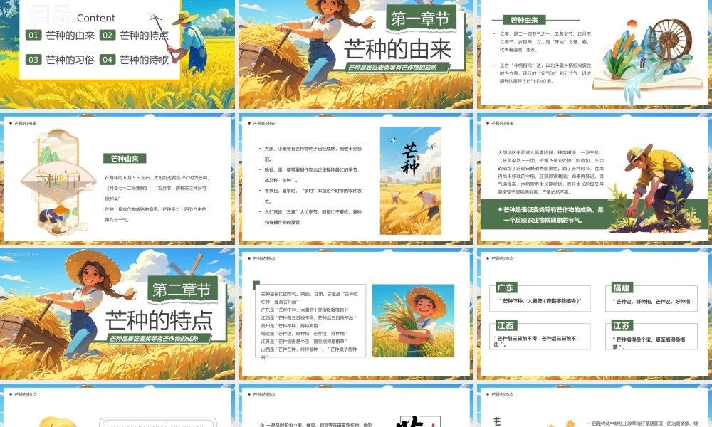 蓝色画风芒种至盛夏始.pptx