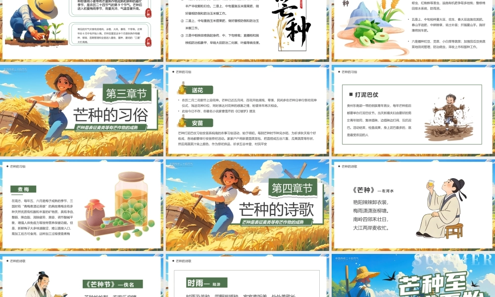 蓝色画风芒种至盛夏始.pptx