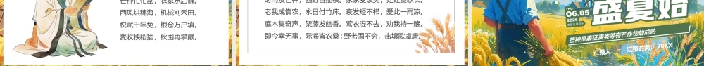 蓝色画风芒种至盛夏始.pptx