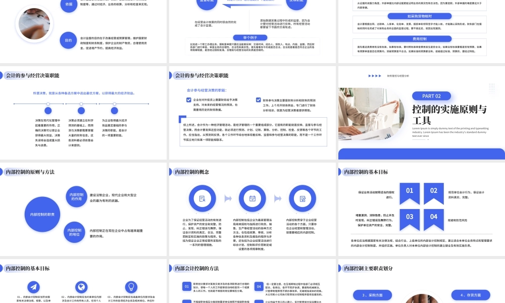 蓝色商务风财务管控与经营分析 .pptx