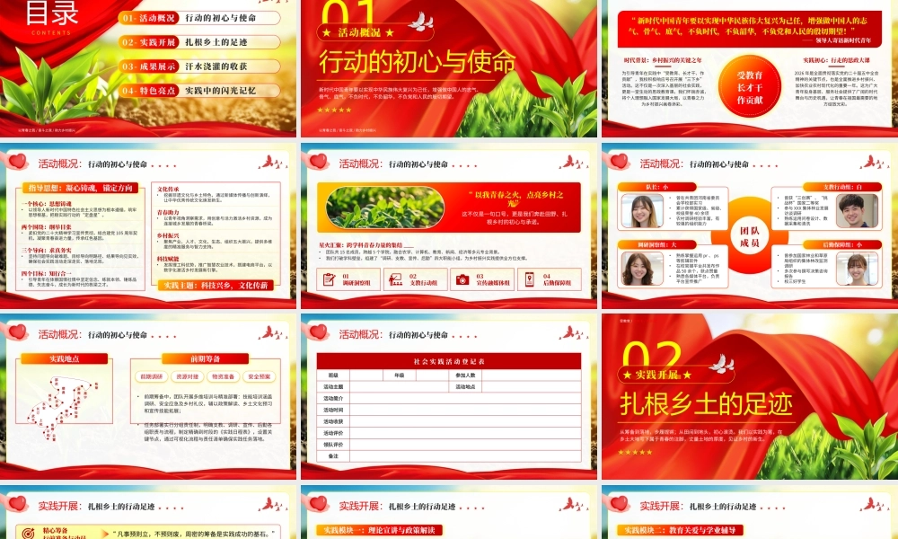 党政风青春下乡行筑梦新时代暑假三下乡社会实践报告 .pptx