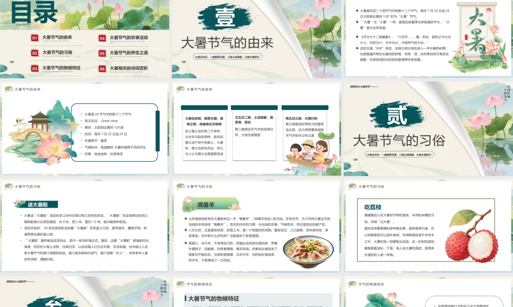 绿色中国风二十四节气之大暑介绍.pptx